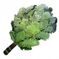 веник банный из кавказского дуба банный эксперт